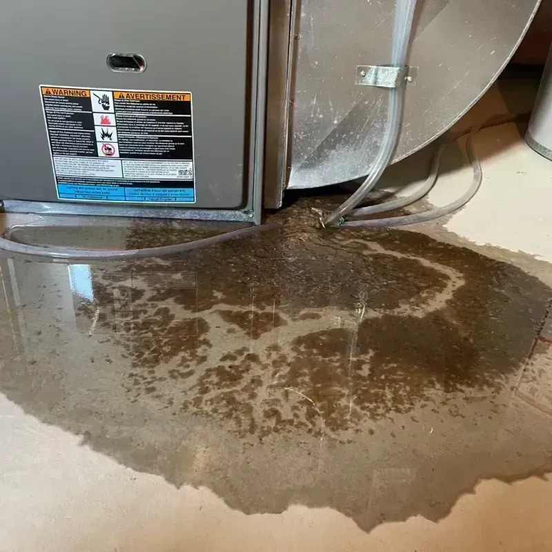 Appliance Leak Cleanup in Blue Ash, OH